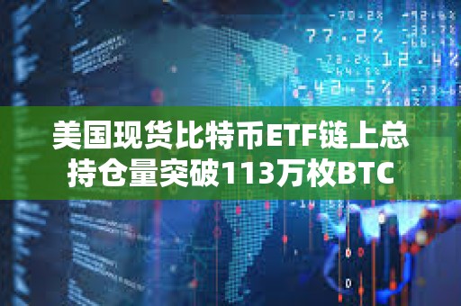 美国现货比特币ETF链上总持仓量突破113万枚BTC