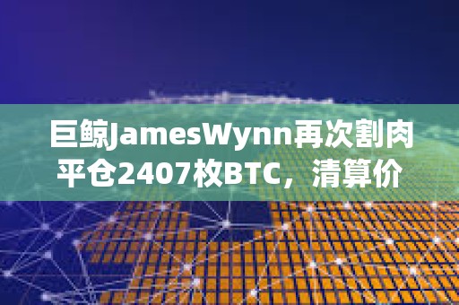 巨鲸JamesWynn再次割肉平仓2407枚BTC，清算价降至105,960美元