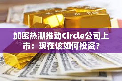 加密热潮推动Circle公司上市：现在该如何投资？