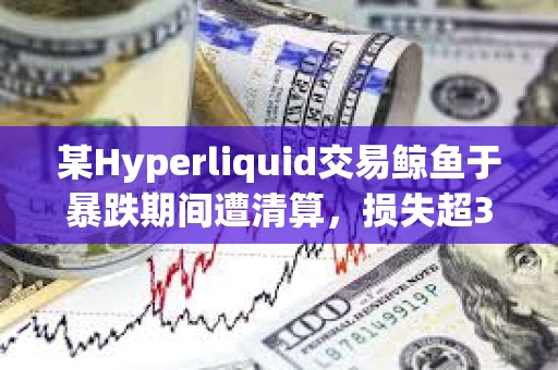某Hyperliquid交易鲸鱼于暴跌期间遭清算，损失超350万美元