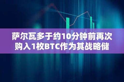 萨尔瓦多于约10分钟前再次购入1枚BTC作为其战略储备