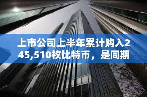 上市公司上半年累计购入245,510枚比特币，是同期ETF购入量的两倍多