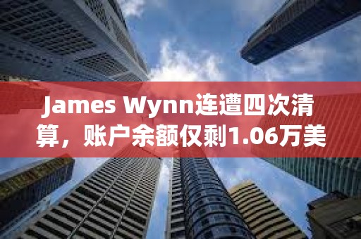 James Wynn连遭四次清算，账户余额仅剩1.06万美元