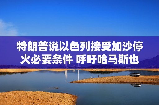 特朗普说以色列接受加沙停火必要条件 呼吁哈马斯也接受
