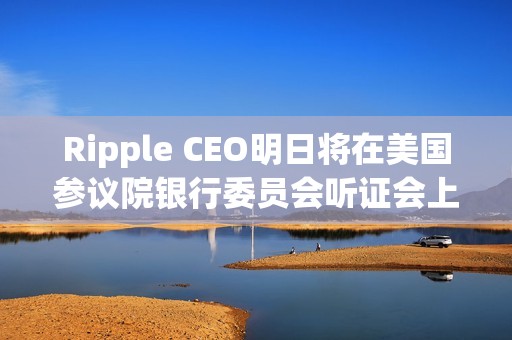 Ripple CEO明日将在美国参议院银行委员会听证会上作证