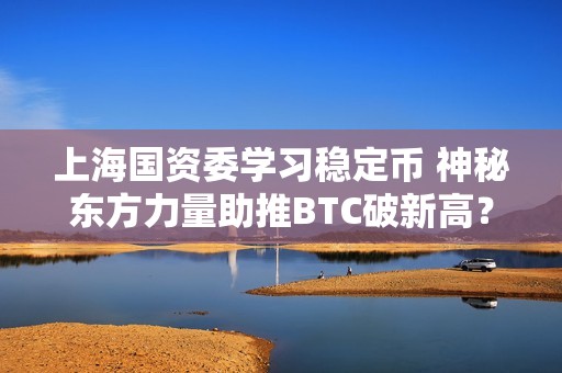 上海国资委学习稳定币 神秘东方力量助推BTC破新高？