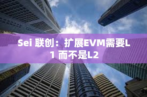 Sei 联创：扩展EVM需要L1 而不是L2