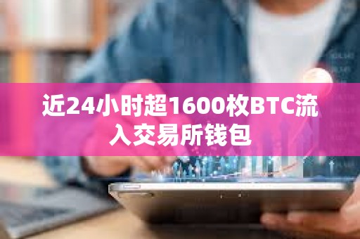 近24小时超1600枚BTC流入交易所钱包