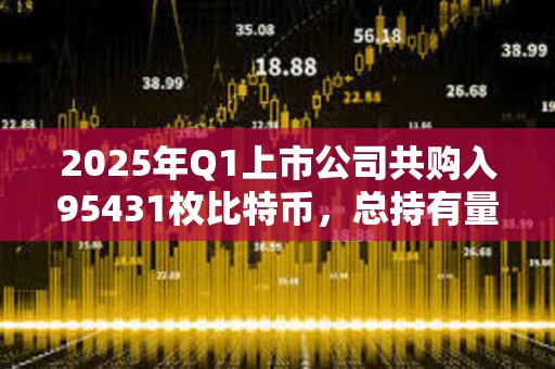 2025年Q1上市公司共购入95431枚比特币，总持有量达68.8万枚