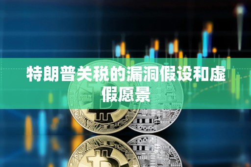 特朗普关税的漏洞假设和虚假愿景