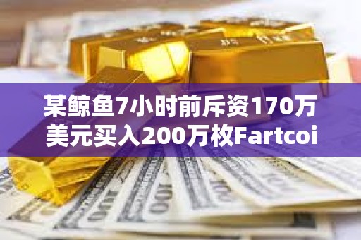 某鲸鱼7小时前斥资170万美元买入200万枚Fartcoin