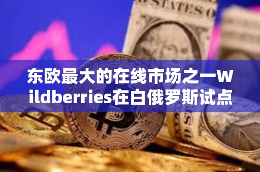 东欧最大的在线市场之一Wildberries在白俄罗斯试点加密货币支付