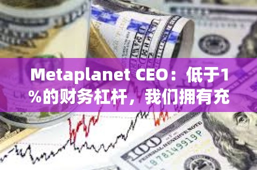 Metaplanet CEO：低于1%的财务杠杆，我们拥有充足的空间来执行下一阶段的战略