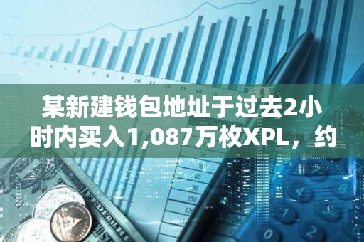 某新建钱包地址于过去2小时内买入1,087万枚XPL，约合1,360万美元
