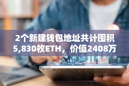 2个新建钱包地址共计囤积5,830枚ETH，价值2408万美元