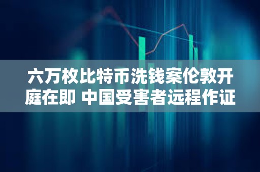 六万枚比特币洗钱案伦敦开庭在即 中国受害者远程作证