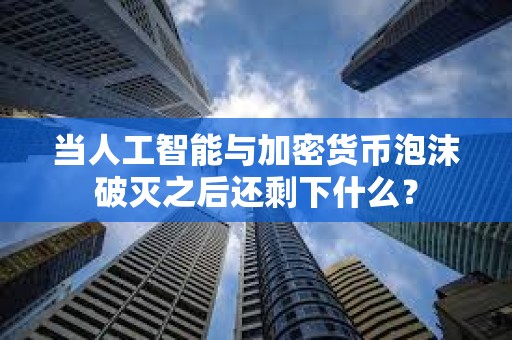 当人工智能与加密货币泡沫破灭之后还剩下什么？