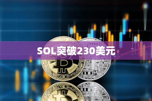 SOL突破230美元