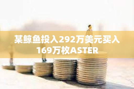 某鲸鱼投入292万美元买入169万枚ASTER