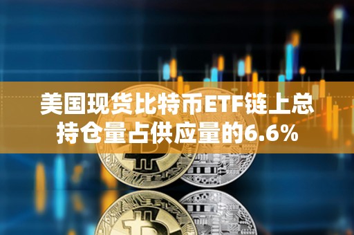 美国现货比特币ETF链上总持仓量占供应量的6.6%