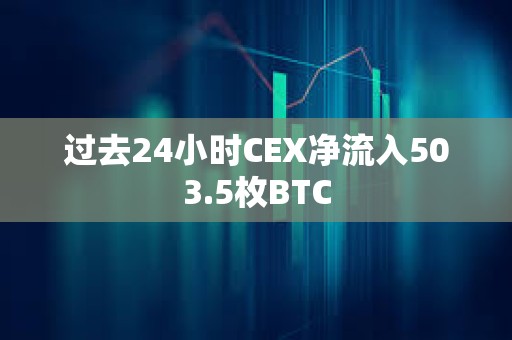 过去24小时CEX净流入503.5枚BTC