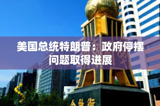 美国总统特朗普：政府停摆问题取得进展