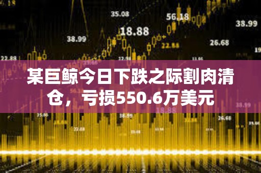 某巨鲸今日下跌之际割肉清仓，亏损550.6万美元
