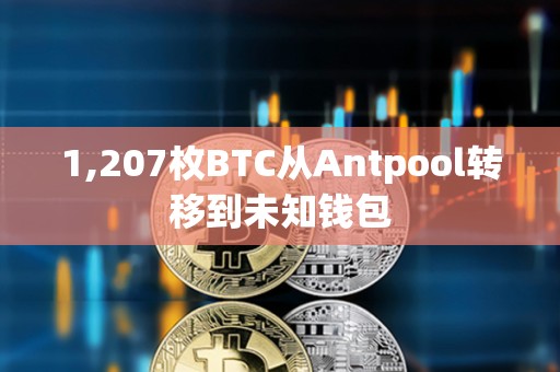 1,207枚BTC从Antpool转移到未知钱包