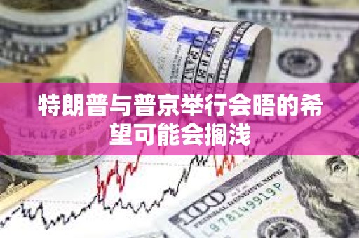 特朗普与普京举行会晤的希望可能会搁浅