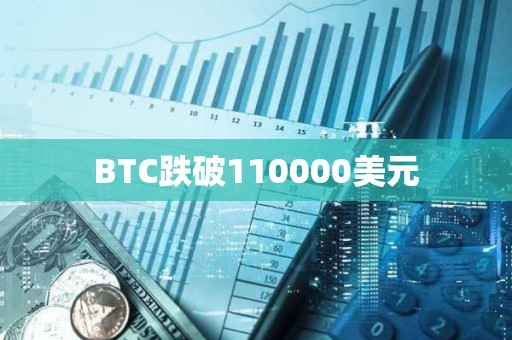 BTC跌破110000美元