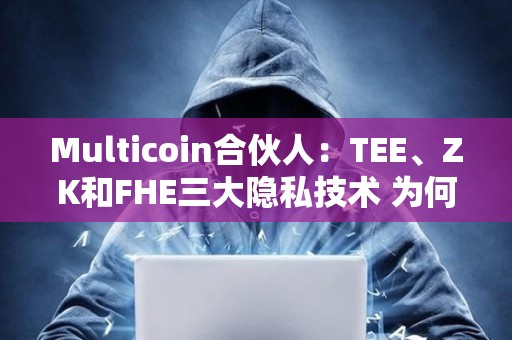 Multicoin合伙人：TEE、ZK和FHE三大隐私技术 为何我更看好FHE