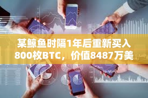 某鲸鱼时隔1年后重新买入800枚BTC，价值8487万美元