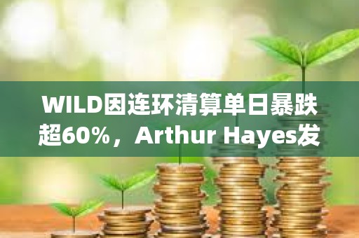 WILD因连环清算单日暴跌超60%，Arthur Hayes发文表示已抄底