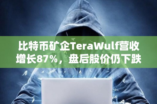 比特币矿企TeraWulf营收增长87%，盘后股价仍下跌