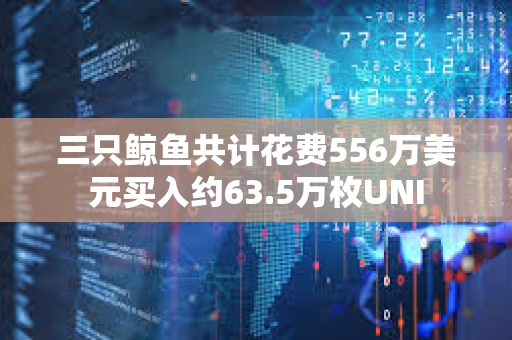 三只鲸鱼共计花费556万美元买入约63.5万枚UNI