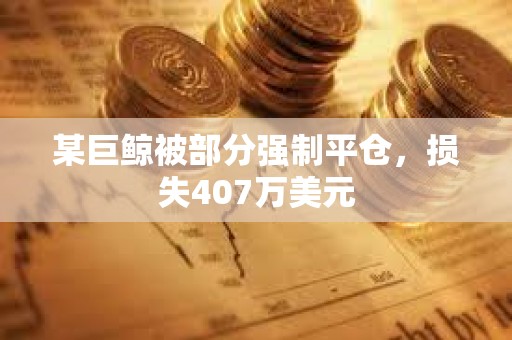 某巨鲸被部分强制平仓，损失407万美元