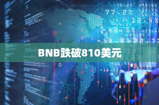 BNB跌破810美元