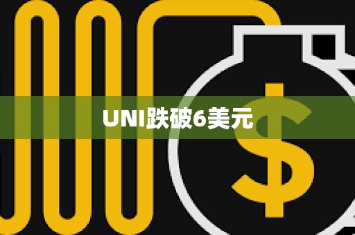 UNI跌破6美元