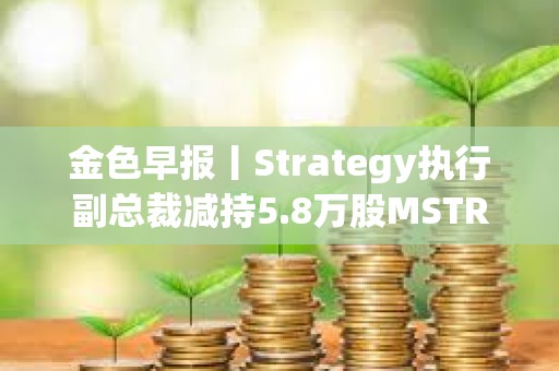 金色早报丨Strategy执行副总裁减持5.8万股MSTR股票 BTC跌破85000美元