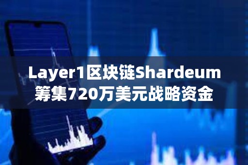 Layer1区块链Shardeum筹集720万美元战略资金