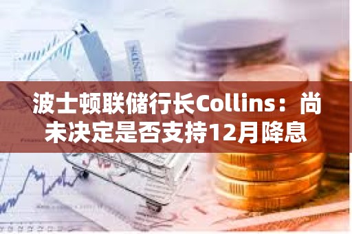 波士顿联储行长Collins：尚未决定是否支持12月降息