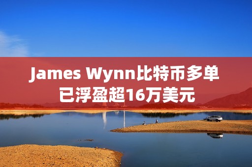 James Wynn比特币多单已浮盈超16万美元