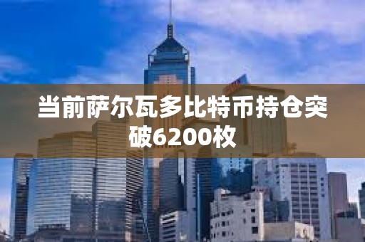 当前萨尔瓦多比特币持仓突破6200枚
