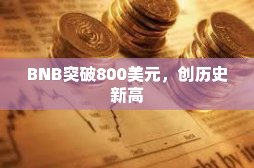 BNB突破800美元，创历史新高