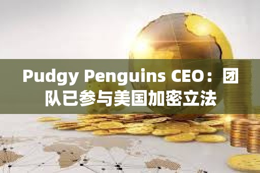 Pudgy Penguins CEO：团队已参与美国加密立法
