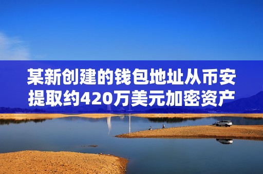 某新创建的钱包地址从币安提取约420万美元加密资产