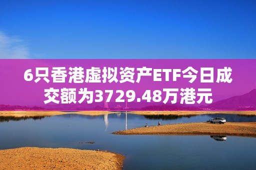 6只香港虚拟资产ETF今日成交额为3729.48万港元
