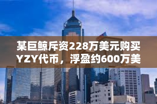 某巨鲸斥资228万美元购买YZY代币，浮盈约600万美元