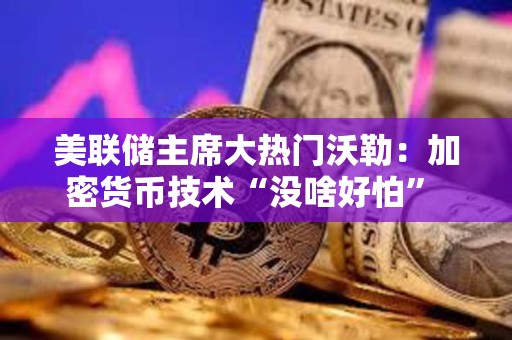 美联储主席大热门沃勒：加密货币技术“没啥好怕” 美联储应与业界共推支付创新