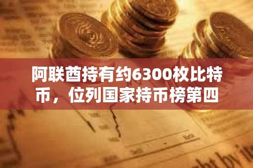 阿联酋持有约6300枚比特币，位列国家持币榜第四